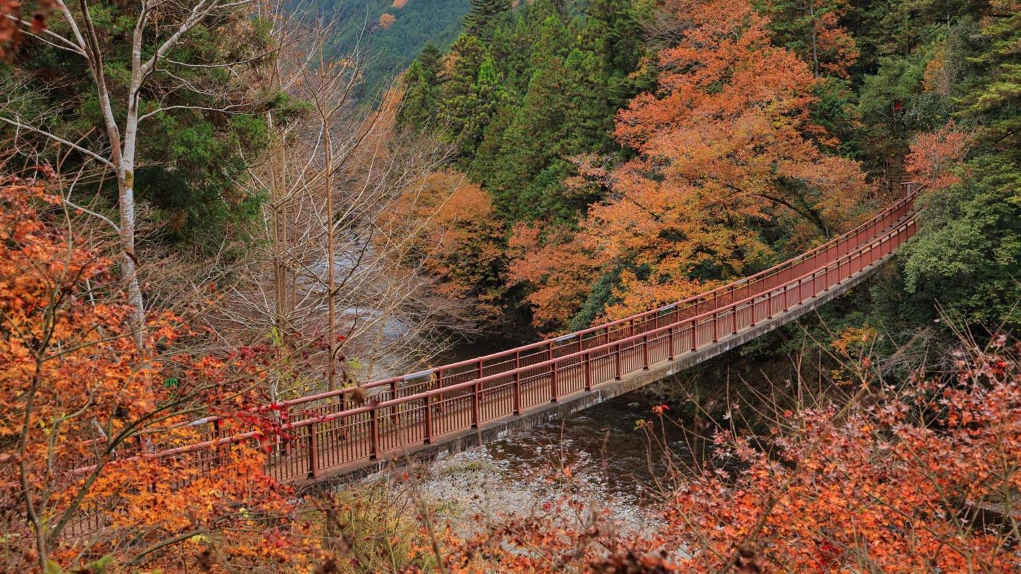 Toyoko Inn Tokyo Akigawa-Eki Kita-Guchi Akiruno Buitenkant foto